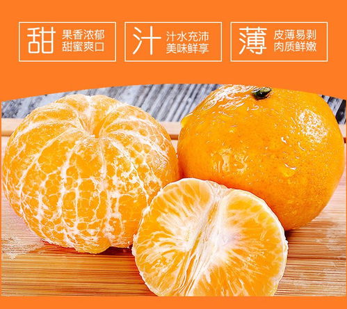 武鳴沃柑 新鮮應季的甜蜜之選，打造健康果盤新風尚